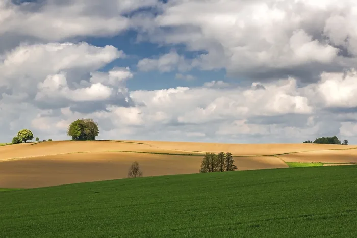 Gerahmter Druck : Frühlingslandschaft in Bayern Gerahmter Druck : Frühlingslandschaft in Bayern