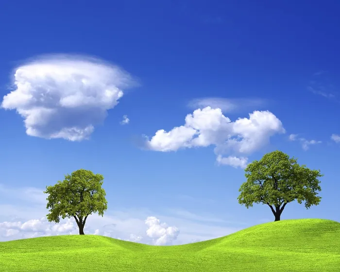 Gerahmter Druck : Frühlingslandschaft auf blauem Himmel. Gerahmter Druck : Frühlingslandschaft auf blauem Himmel.