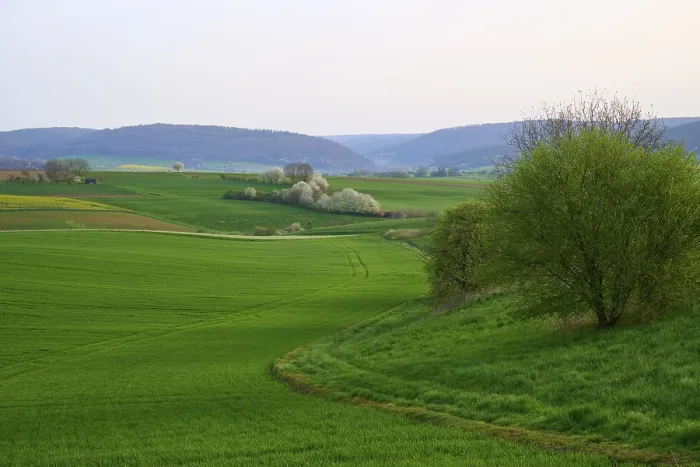 Gerahmter Druck : Frühlingslandschaft mit grünen Feldern. Gerahmter Druck : Frühlingslandschaft mit grünen Feldern.