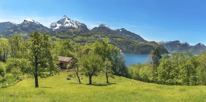 Gerahmter Druck : Frühlingslandschaft mit grünen Wiesen. Gerahmter Druck : Frühlingslandschaft mit grünen Wiesen.