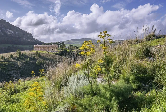 Gerahmter Druck : Frühlingslandschaft mit dem Tempel von Segesta Gerahmter Druck : Frühlingslandschaft mit dem Tempel von Segesta