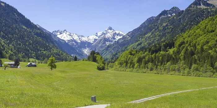 Gerahmter Druck : Frühlingswiese im Trettachtal Gerahmter Druck : Frühlingswiese im Trettachtal