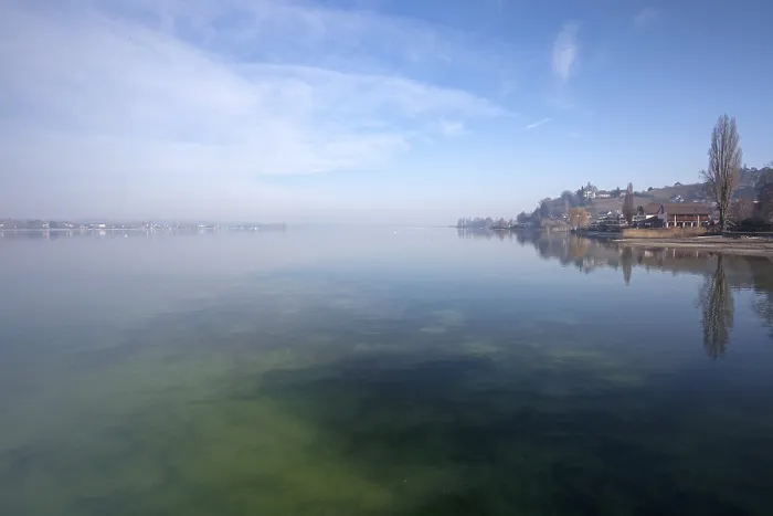 Gerahmter Druck : Frühlingsstimmung am Bodensee in Mannenbach. Gerahmter Druck : Frühlingsstimmung am Bodensee in Mannenbach.