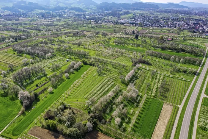 Gerahmter Druck : Frühling im Renchtal in der Ortenau Gerahmter Druck : Frühling im Renchtal in der Ortenau