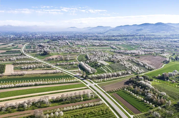 Gerahmter Druck : Frühling im Renchtal in der Ortenau. Gerahmter Druck : Frühling im Renchtal in der Ortenau.