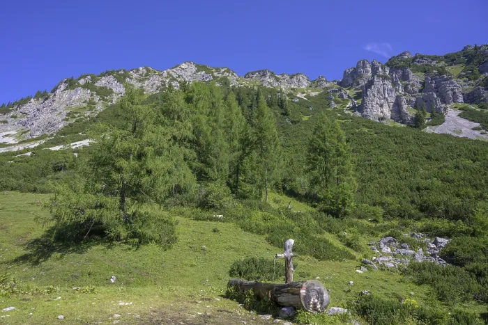 Gerahmter Druck : Frühlingsquell und Raidling im Hintergrund, Hochmöllinghütte-Wanderung, Wörthach, Steiermark, Österreich Gerahmter Druck : Frühlingsquell und Raidling im Hintergrund, Hochmöllinghütte-Wanderung, Wörthach, Steiermark, Österreich