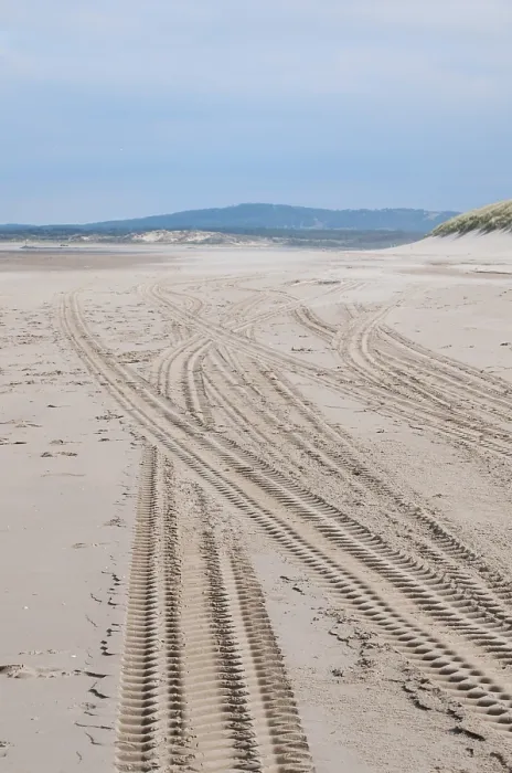 Gerahmter Druck : Spurrs am leeren Strand in der Sonne. Gerahmter Druck : Spurrs am leeren Strand in der Sonne.