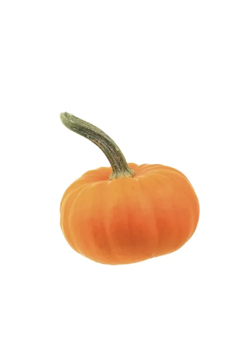 Gerahmter Druck : Zucchini, Mandarin-Variante Zucchini. Gerahmter Druck : Zucchini, Mandarin-Variante Zucchini.