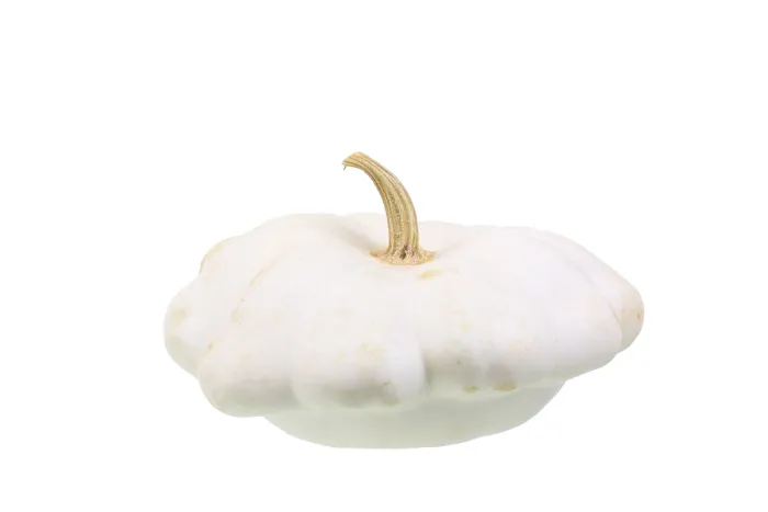 Gerahmter Druck : Zucchini, Patisson Sorte Zucchini Gerahmter Druck : Zucchini, Patisson Sorte Zucchini