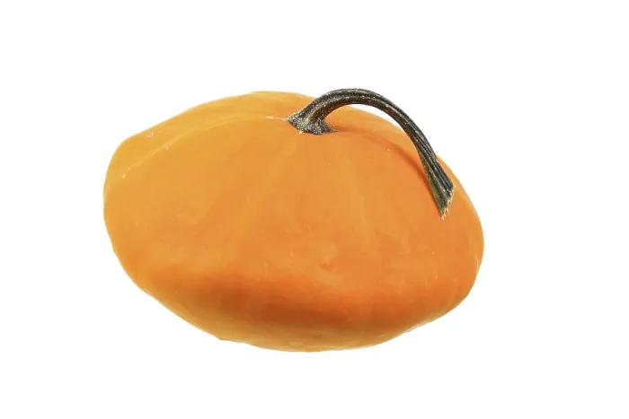 Gerahmter Druck : Zucchini, Patisson Sorte Zucchini Gerahmter Druck : Zucchini, Patisson Sorte Zucchini