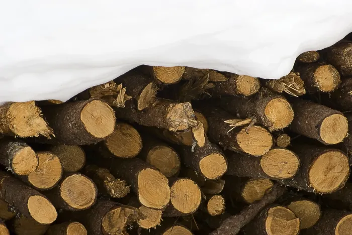Gerahmter Druck : Holzstapel unter Schnee. Gerahmter Druck : Holzstapel unter Schnee.