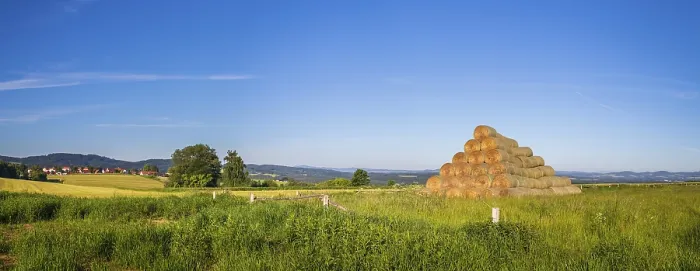 Gerahmter Druck : Heuhaufen auf Wiese. Gerahmter Druck : Heuhaufen auf Wiese.