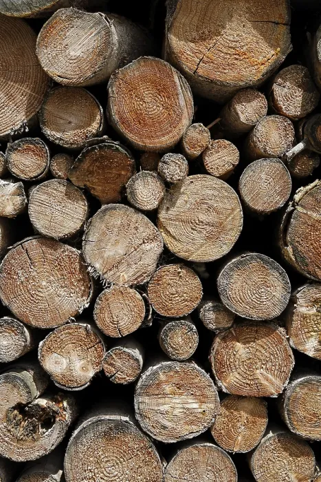 Gerahmter Druck : Holzstapel, Bayern, Deutschland Gerahmter Druck : Holzstapel, Bayern, Deutschland
