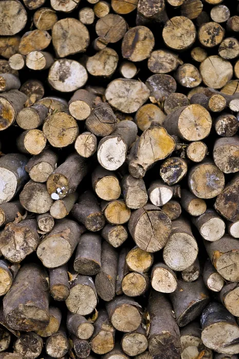 Gerahmter Druck : Gestapelte Buchenholzscheite (Fagus) Gerahmter Druck : Gestapelte Buchenholzscheite (Fagus)