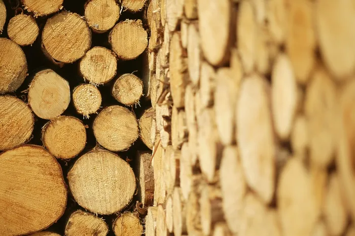 Gerahmter Druck : Holzscheite in Stapelordnung Gerahmter Druck : Holzscheite in Stapelordnung