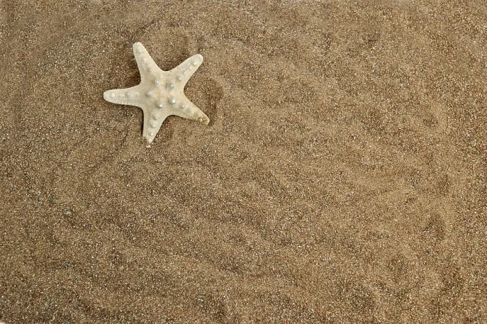 Gerahmter Druck : Sternhaufen auf einem Sandhintergrund