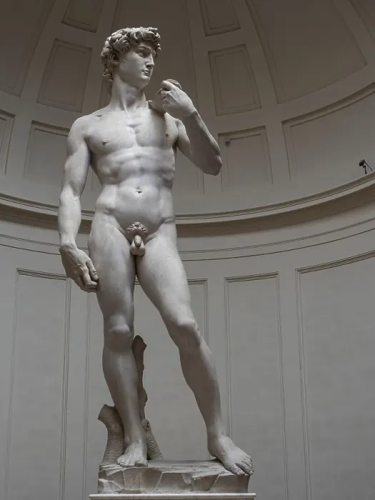 Gerahmter Druck : Der David von Michelangelo in der Galleria dell'Accademia, Florenz Gerahmter Druck : Der David von Michelangelo in der Galleria dell'Accademia, Florenz