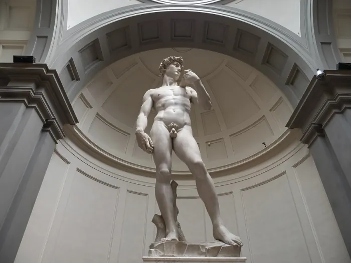 Gerahmter Druck : Der David von Michelangelo in der Galleria dellAccademia, Florenz Gerahmter Druck : Der David von Michelangelo in der Galleria dellAccademia, Florenz