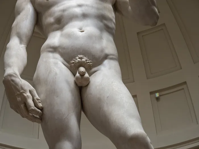 Gerahmter Druck : Statue von David von Michelangelo Gerahmter Druck : Statue von David von Michelangelo