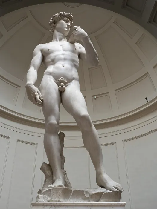 Gerahmter Druck : Statue von David von Michelangelo Gerahmter Druck : Statue von David von Michelangelo