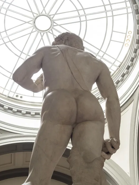 Gerahmter Druck : Statue von David von Michelangelo Gerahmter Druck : Statue von David von Michelangelo