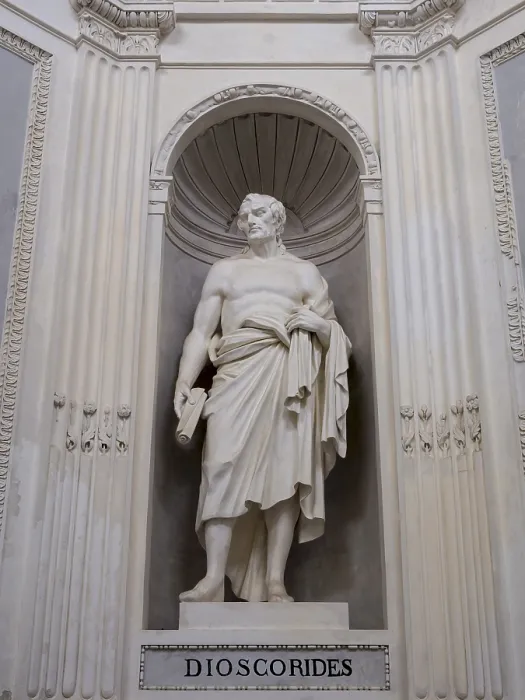 Gerahmter Druck : Statue des Dioskurides in der Villa Giulia, Palermo, Sizilien, Italien Gerahmter Druck : Statue des Dioskurides in der Villa Giulia, Palermo, Sizilien, Italien