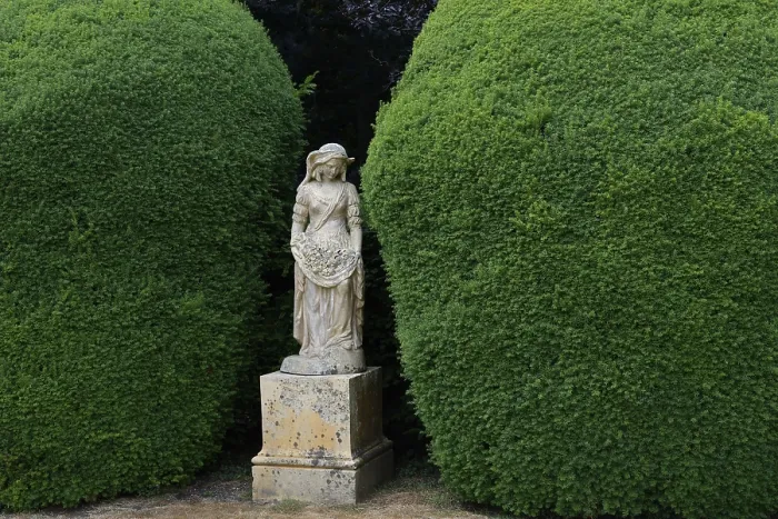 Gerahmter Druck : Statue und Eibe in Topiärform Gerahmter Druck : Statue und Eibe in Topiärform
