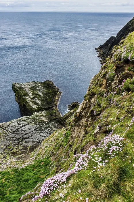 Gerahmter Druck : Die steilen Klippen von Sumburgh Head. Gerahmter Druck : Die steilen Klippen von Sumburgh Head.