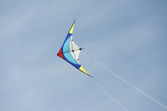 Gerahmter Druck : Lenkflugzeug Gerahmter Druck : Lenkflugzeug