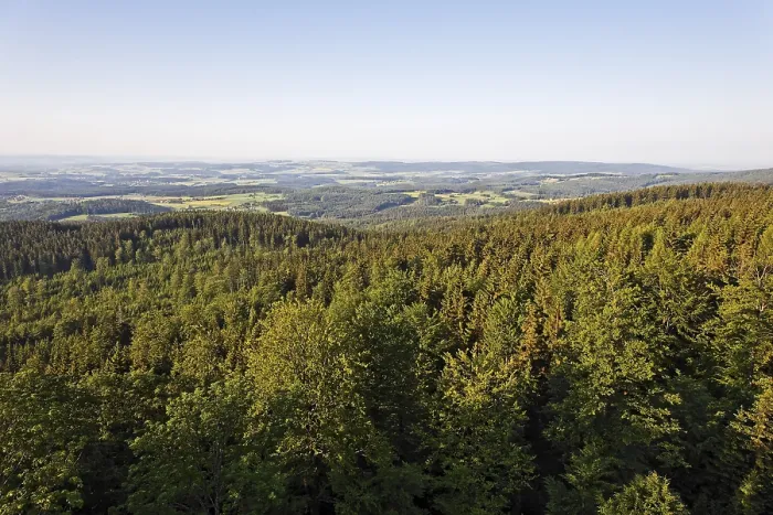 Gerahmter Druck : Waldbergwald, Oberpfalz Gerahmter Druck : Waldbergwald, Oberpfalz