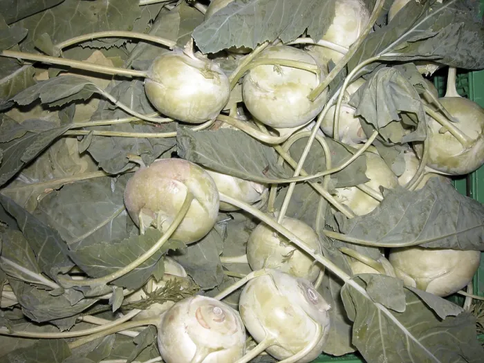 Gerahmter Druck : Kopfsalat. Kopfkohl Gerahmter Druck : Kopfsalat. Kopfkohl