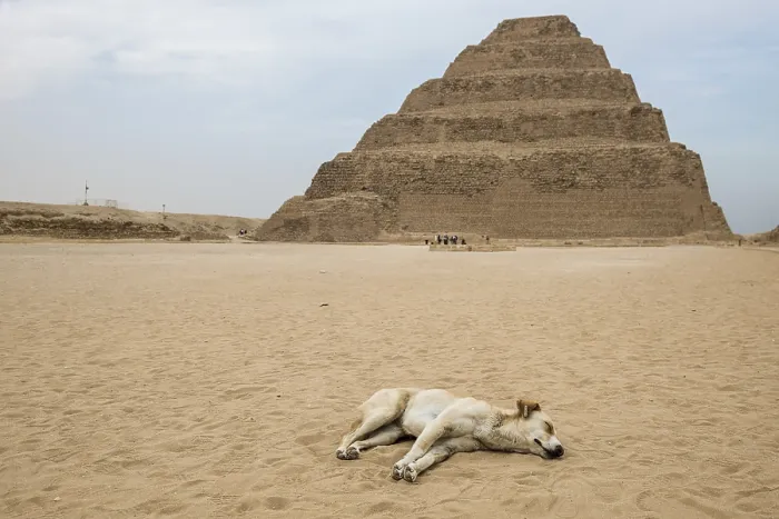 Gerahmter Druck : Schritt Pyramide, Pyramid von Djoser Gerahmter Druck : Schritt Pyramide, Pyramid von Djoser