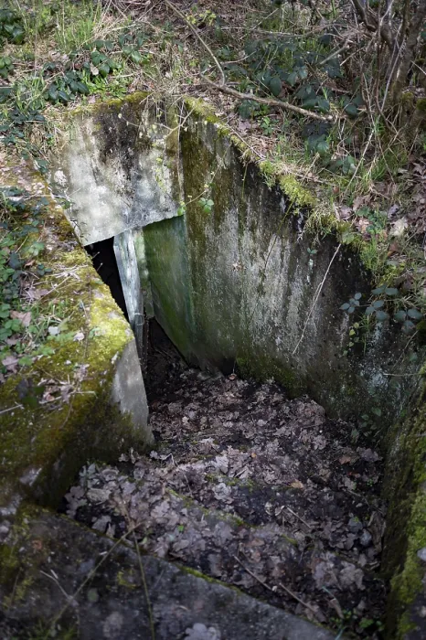 Gerahmter Druck : In die Cheneux-Bunker hinabsteigt. Gerahmter Druck : In die Cheneux-Bunker hinabsteigt.