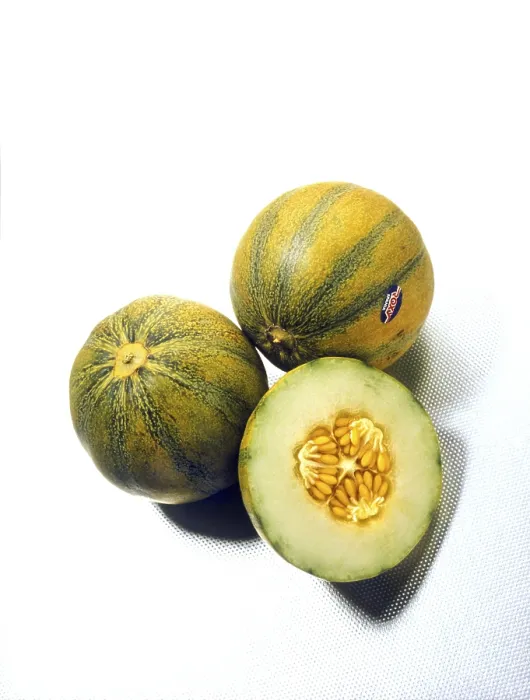 Gerahmter Druck : Stillleben mit Melonen. Gerahmter Druck : Stillleben mit Melonen.