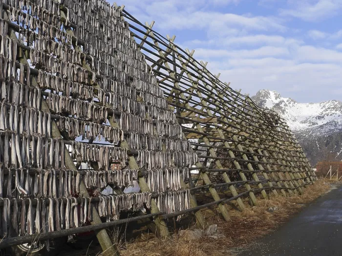 Gerahmter Druck : Stockfish Gerahmter Druck : Stockfish