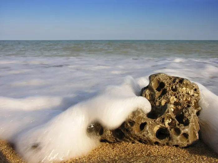 Gerahmter Druck : Stein am Strand Gerahmter Druck : Stein am Strand