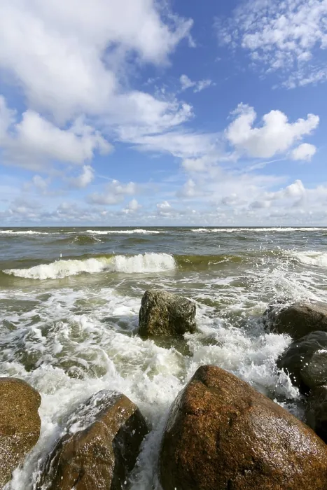 Gerahmter Druck : Stein am Strand Gerahmter Druck : Stein am Strand
