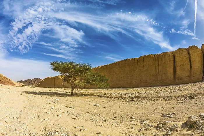 Gerahmter Druck : Der Felswüste in den Eilat-Bergen. Gerahmter Druck : Der Felswüste in den Eilat-Bergen.