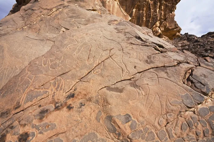 Gerahmter Druck : Steinritzungen in der libyschen Steinwüste. Gerahmter Druck : Steinritzungen in der libyschen Steinwüste.