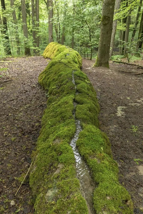 Gerahmter Druck : Steinabfluss, Erasbach, Oberpfalz Gerahmter Druck : Steinabfluss, Erasbach, Oberpfalz