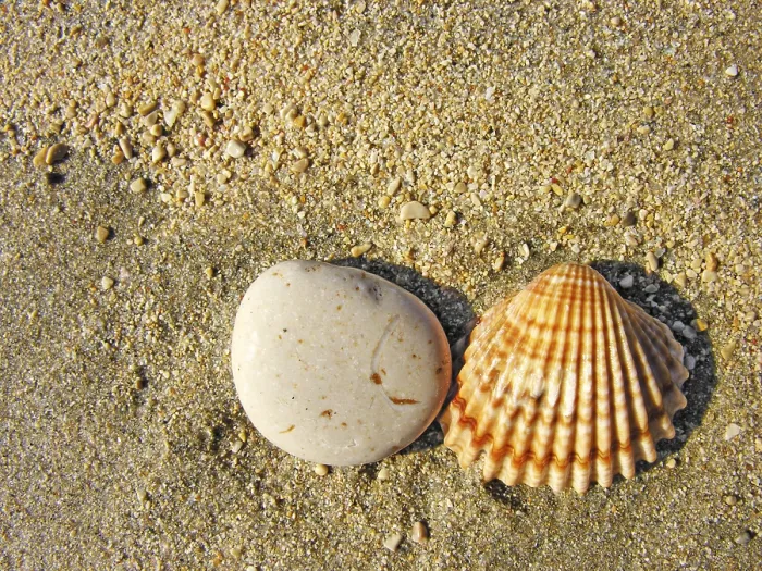 Gerahmter Druck : Steine und Muscheln auf Sand.