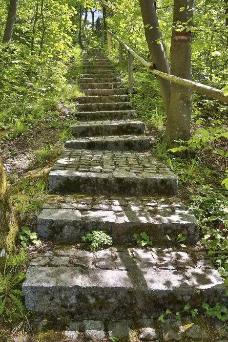 Gerahmter Druck : Steinstufen in einem Limonengrünfrühlingswald. Gerahmter Druck : Steinstufen in einem Limonengrünfrühlingswald.