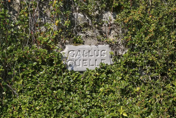 Gerahmter Druck : Steinplatte am Gallussprung Gerahmter Druck : Steinplatte am Gallussprung