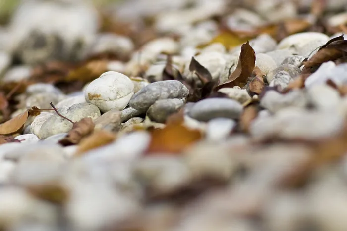 Gerahmter Druck : Stones. Steine und Gerahmter Druck : Stones. Steine und