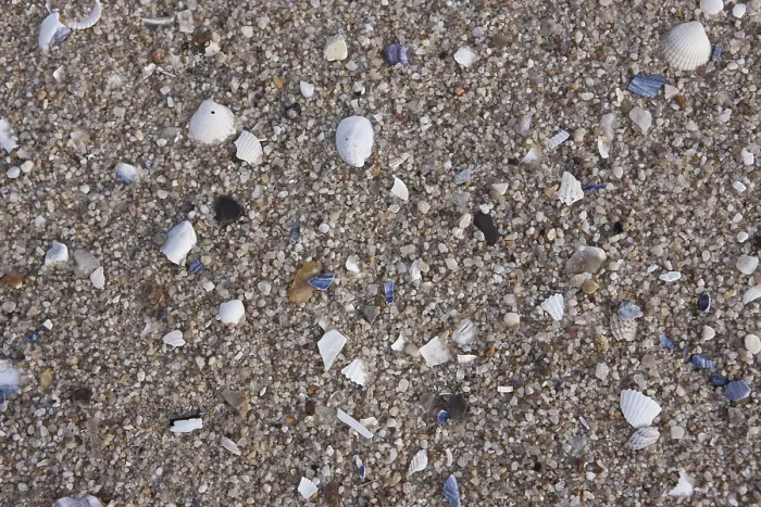 Gerahmter Druck : Steine und Muscheln am Strand. Gerahmter Druck : Steine und Muscheln am Strand.