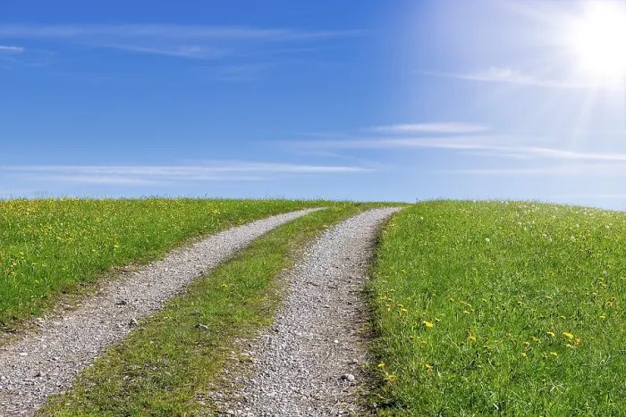 Gerahmter Druck : Steiniger Feldweg durch einen Frühlingswiesen. Gerahmter Druck : Steiniger Feldweg durch einen Frühlingswiesen.