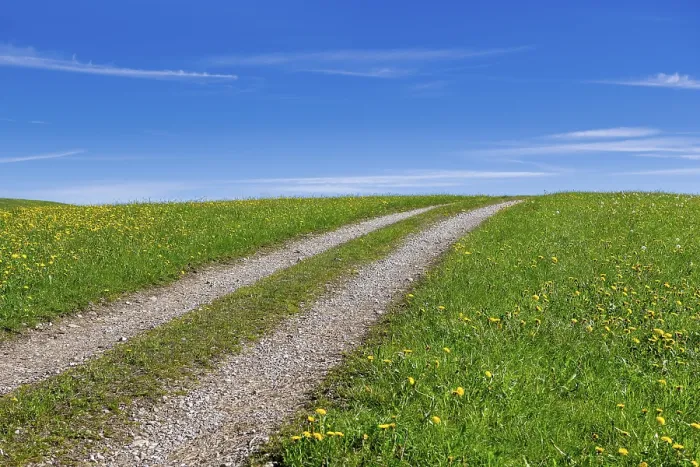 Gerahmter Druck : Steiniger Feldweg durch einen Frühlingswiesen. Gerahmter Druck : Steiniger Feldweg durch einen Frühlingswiesen.