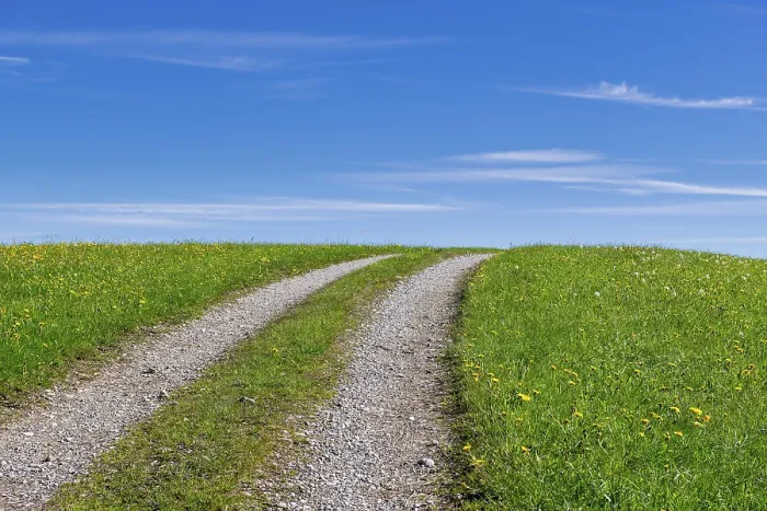 Gerahmter Druck : Steiniger Feldweg durch einen Frühlingswiesen. Gerahmter Druck : Steiniger Feldweg durch einen Frühlingswiesen.