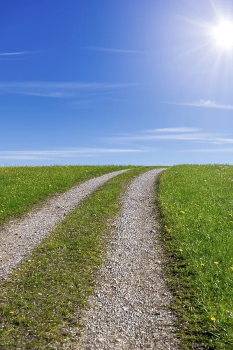Gerahmter Druck : Steiniger Feldweg durch eine Frühlingswiese. Gerahmter Druck : Steiniger Feldweg durch eine Frühlingswiese.