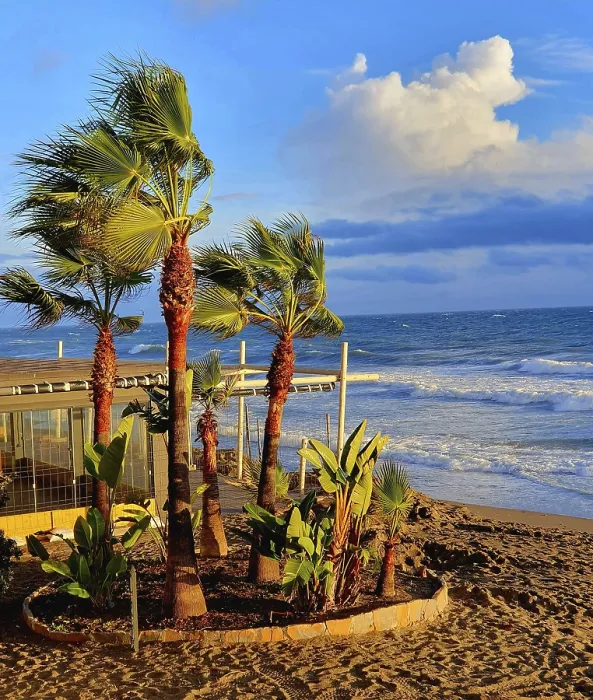 Gerahmter Druck : Sturm auf der Marbella-Bucht mit Regen. Gerahmter Druck : Sturm auf der Marbella-Bucht mit Regen.